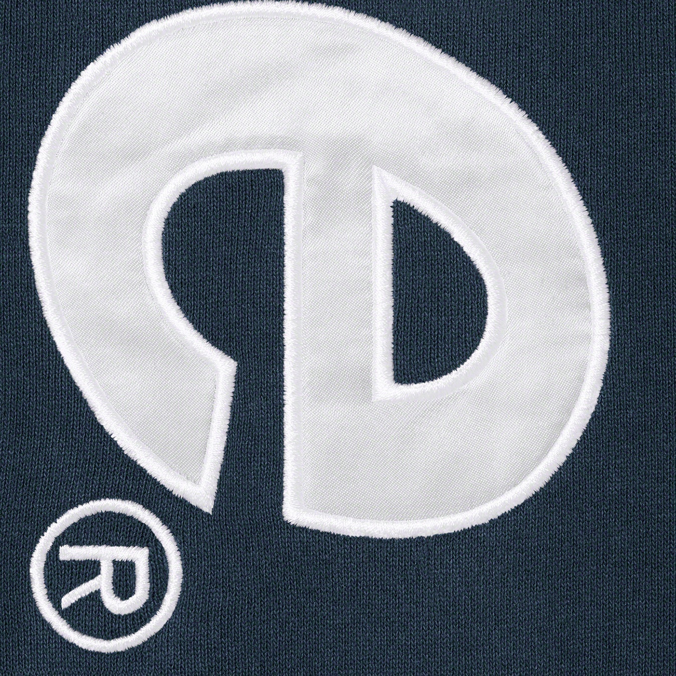 Satin Appliqué Hooded Sweatshirt view 4